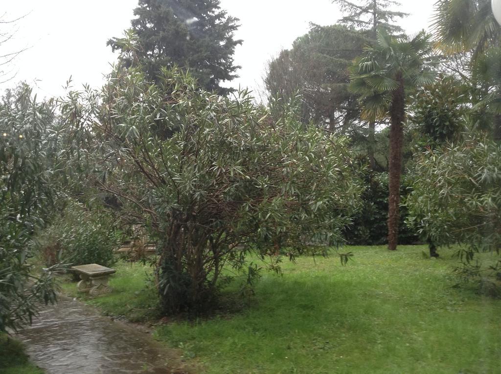Park Hotel Castel San Pietro Terme Exteriör bild